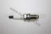 AUTOMEGA 100000033101AB Spark Plug